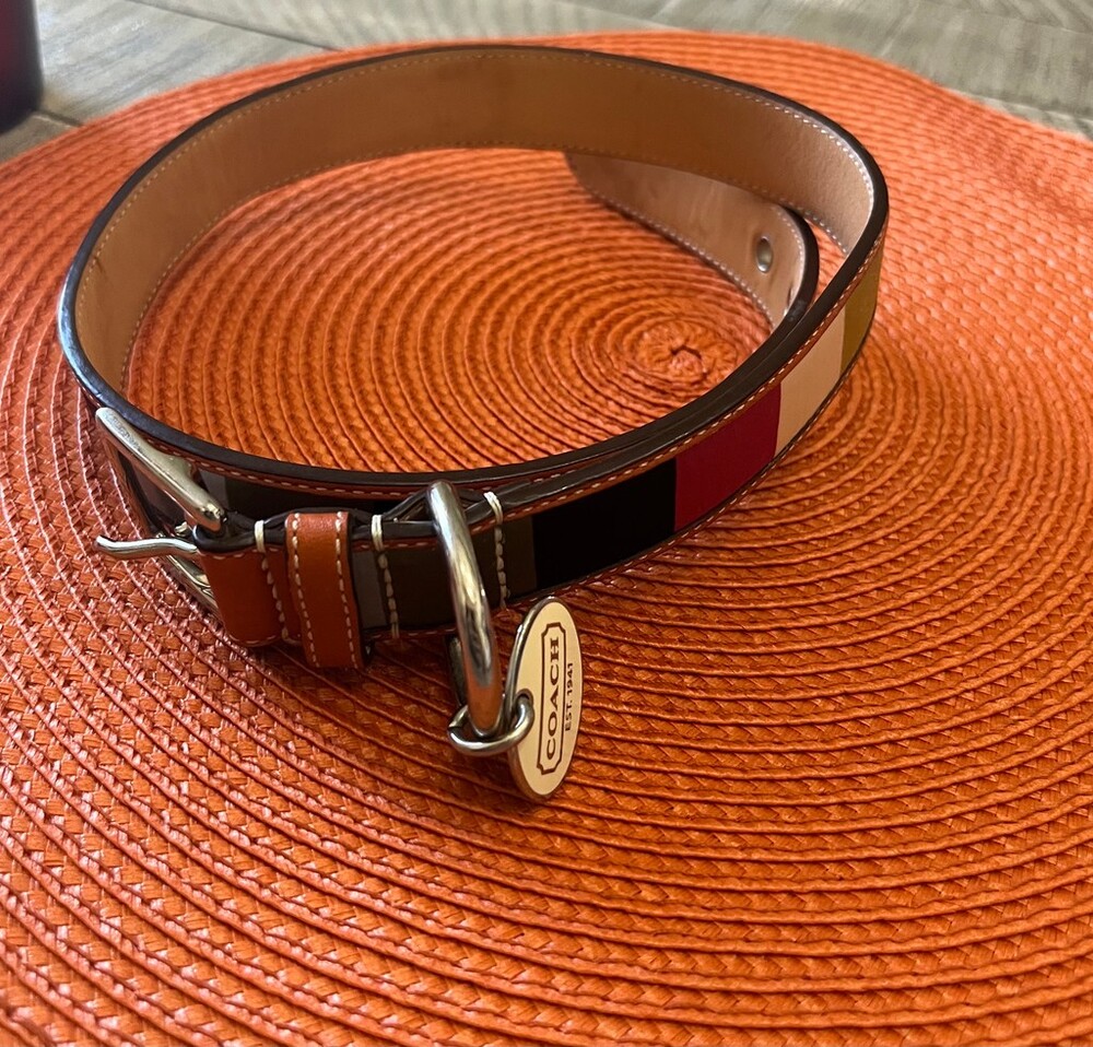Rare Coach Legacy Satin Color Block Y2K Dog Collar XL Style 60088